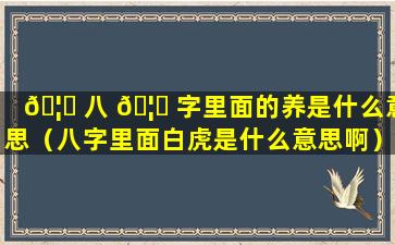 🦋 八 🦍 字里面的养是什么意思（八字里面白虎是什么意思啊）